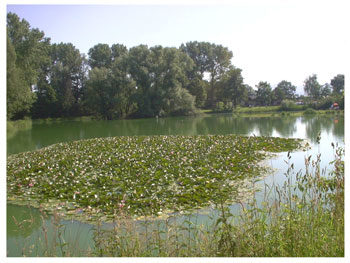 Ehletsee2